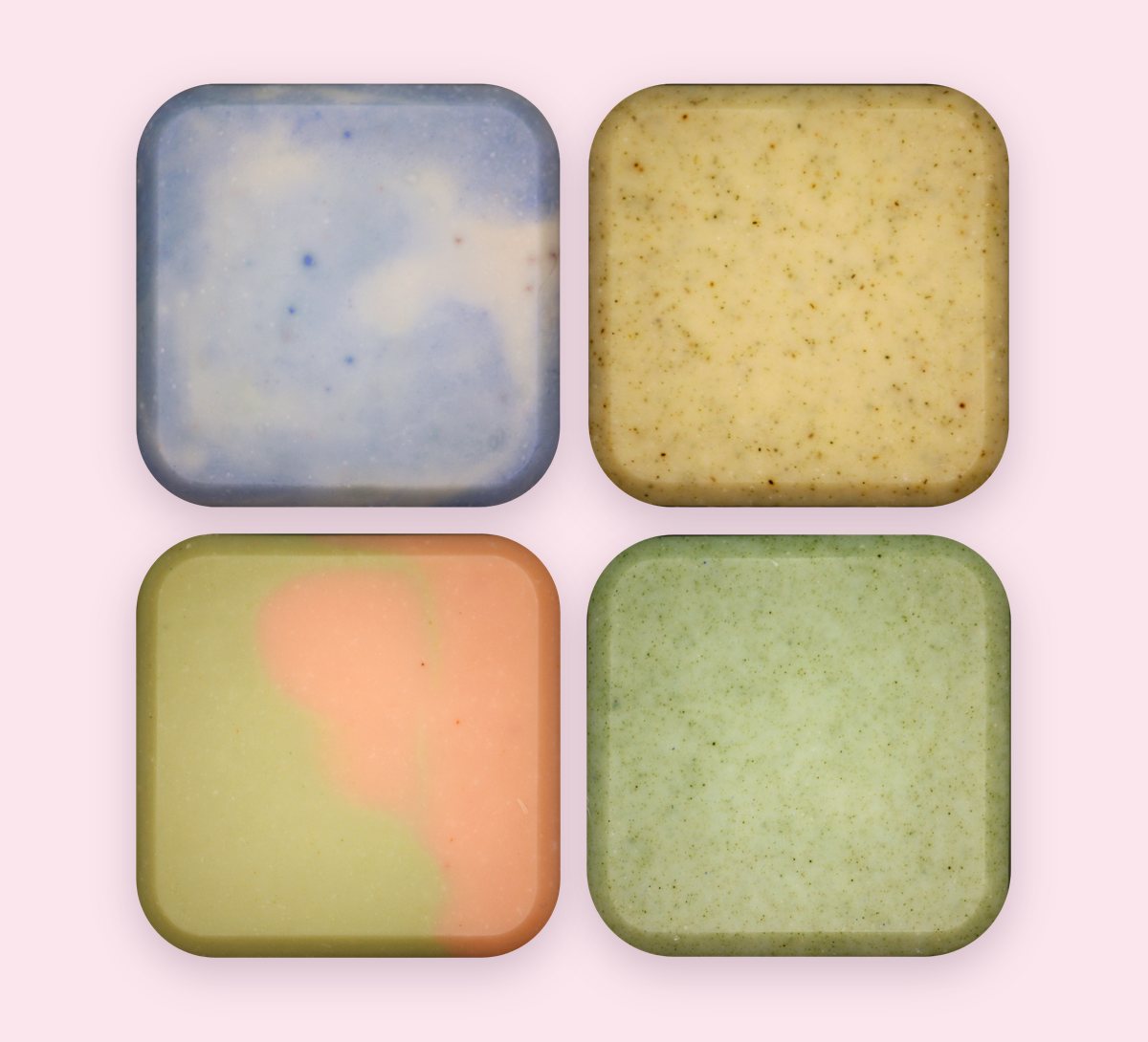 Butterfly Garden gift bars